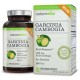 Garcinia Cambogia Extract Plus Weight Loss Pills, 500 mg., 90 Ct.